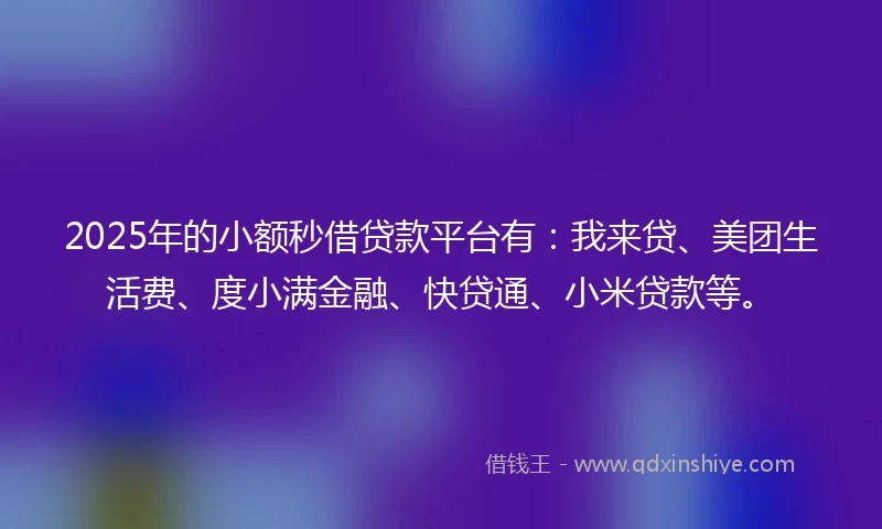 2025年的小额秒借贷款平台有：我来贷、美团生活费、度小满金融、快贷通、小米贷款等。