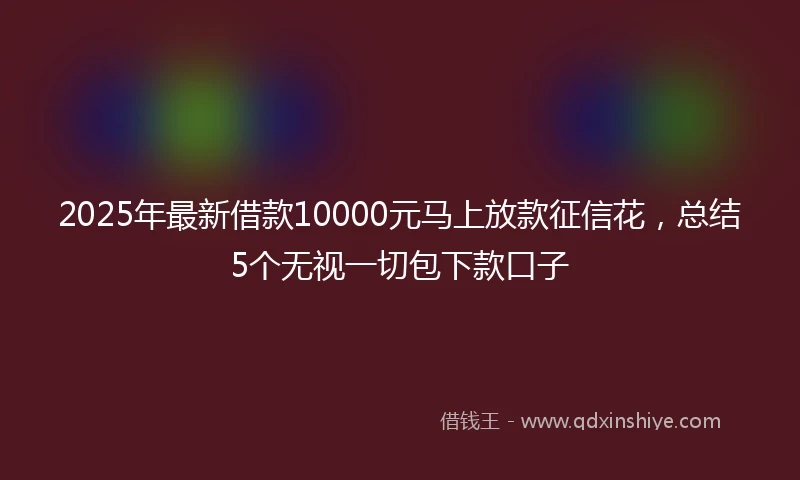 2025年最新借款10000元马上放款征信花，总结5个无视一切包下款口子