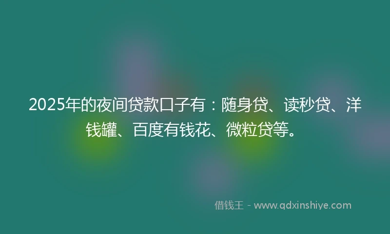 2025年的夜间贷款口子有:随身贷、读秒贷、洋钱罐、百度有钱花、微粒贷等。