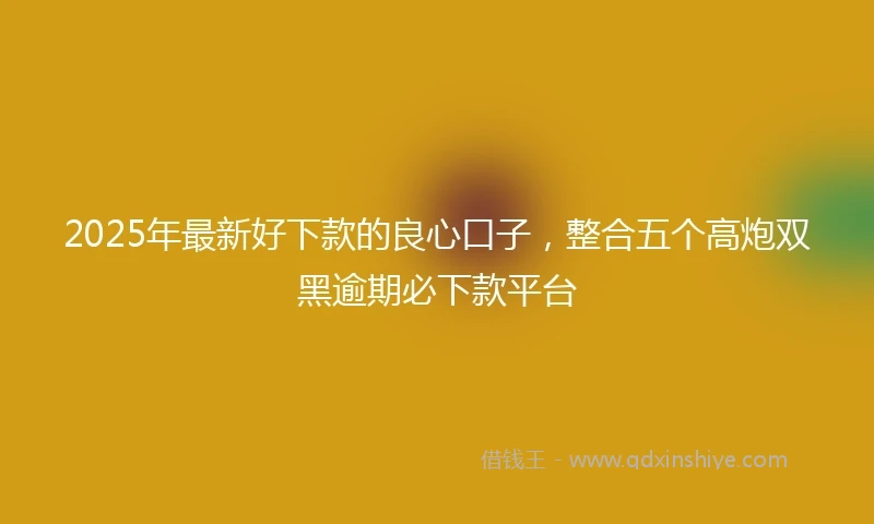 2025年最新好下款的良心口子，整合五个高炮双黑逾期必下款平台