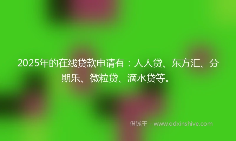 2025年的在线贷款申请有：人人贷、东方汇、分期乐、微粒贷、滴水贷等。