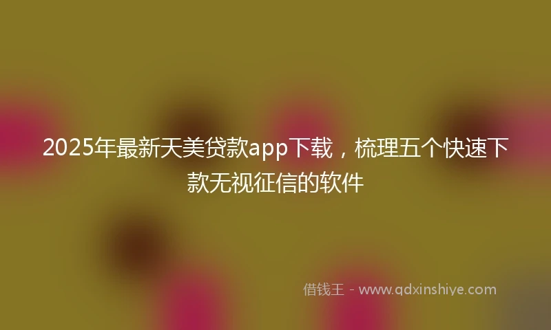 2025年最新天美贷款app下载，梳理五个快速下款无视征信的软件