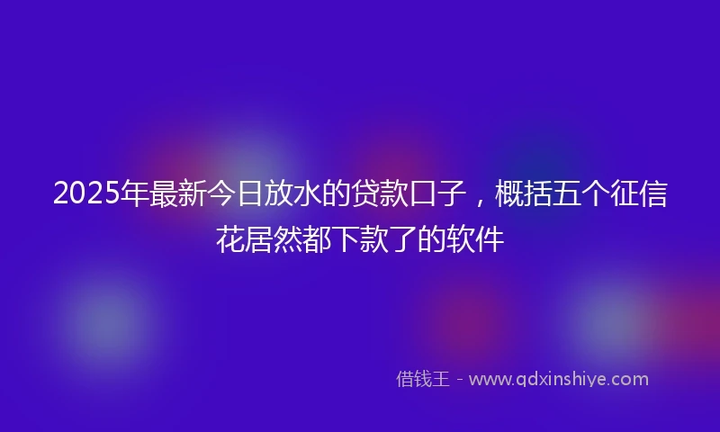2025年最新今日放水的贷款口子，概括五个征信花居然都下款了的软件