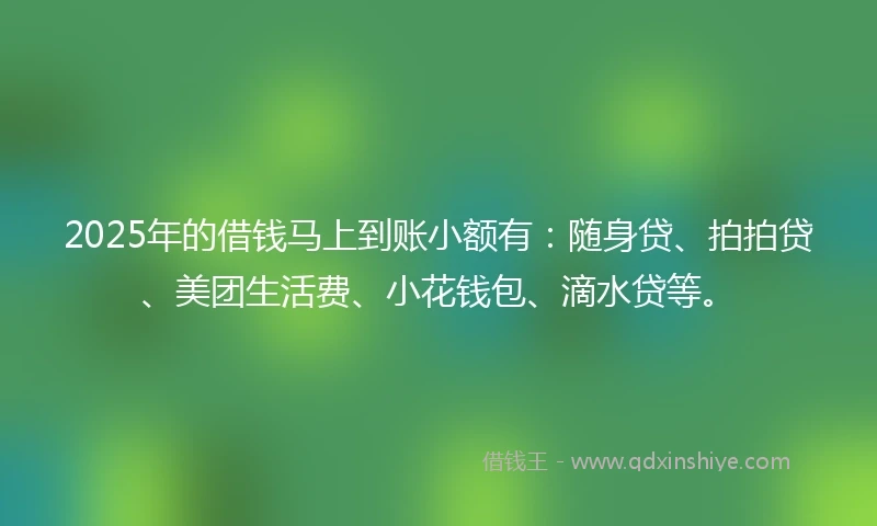 2025年的借钱马上到账小额有：随身贷、拍拍贷、美团生活费、小花钱包、滴水贷等。