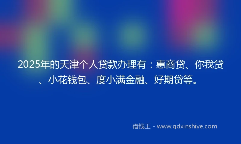2025年的天津个人贷款办理有：惠商贷、你我贷、小花钱包、度小满金融、好期贷等。