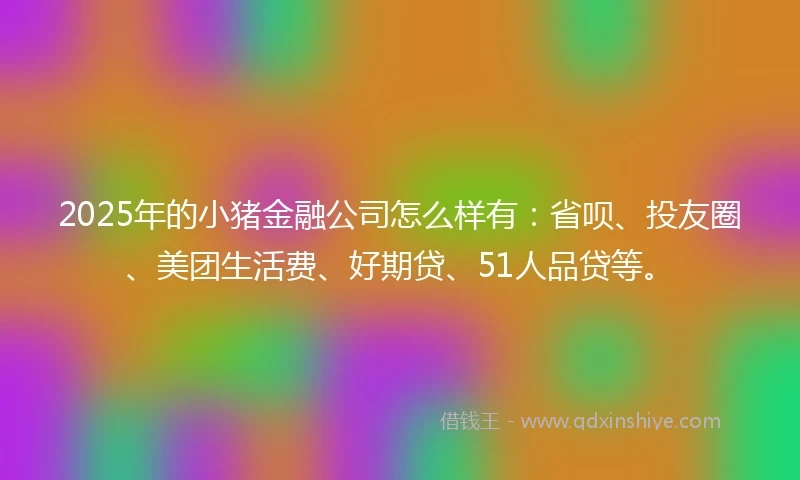 2025年的小猪金融公司怎么样有：省呗、投友圈、美团生活费、好期贷、51人品贷等。
