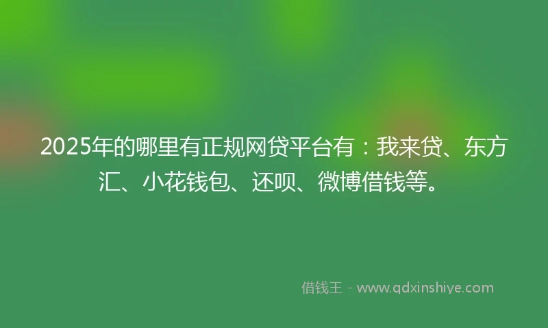 2025年的哪里有正规网贷平台有：我来贷、东方汇、小花钱包、还呗、微博借钱等。