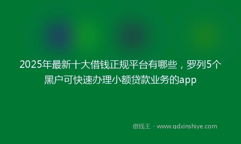 2025年最新十大借钱正规平台有哪些，罗列5个黑户可快速办理小额贷款业务的app
