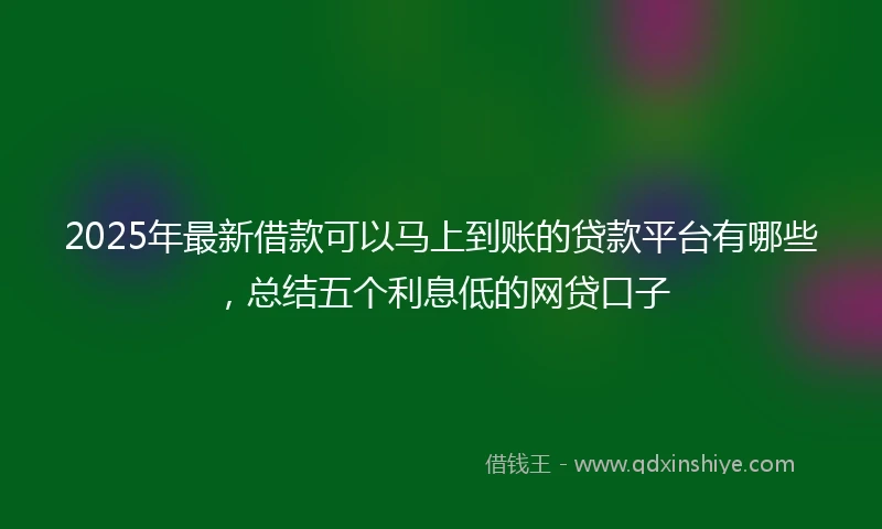 2025年最新借款可以马上到账的贷款平台有哪些，总结五个利息低的网贷口子