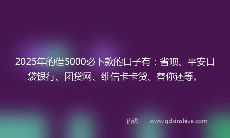 2025年的借5000必下款的口子有：省呗、平安口袋银行、团贷网、维信卡卡贷、替你还等。