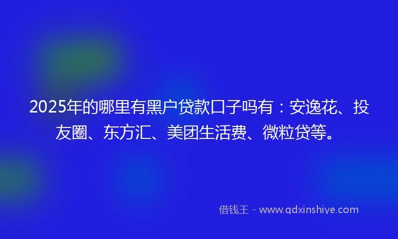 2025年的哪里有黑户贷款口子吗有：安逸花、投友圈、东方汇、美团生活费、微粒贷等。