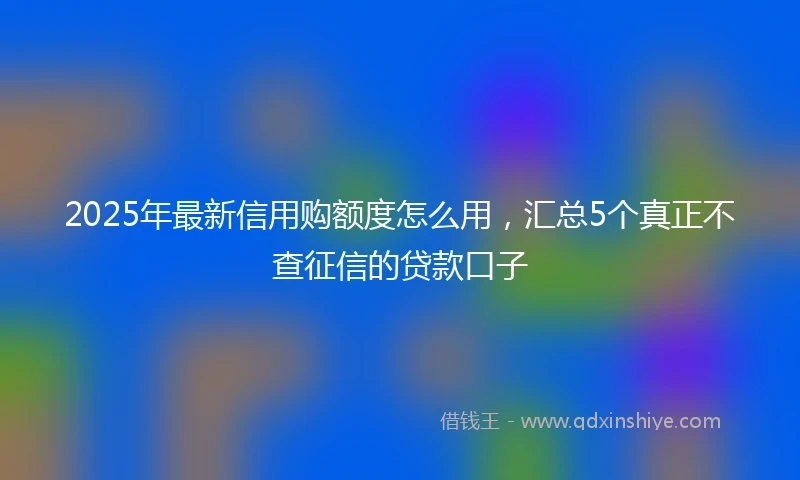 2025年最新信用购额度怎么用，汇总5个真正不查征信的贷款口子