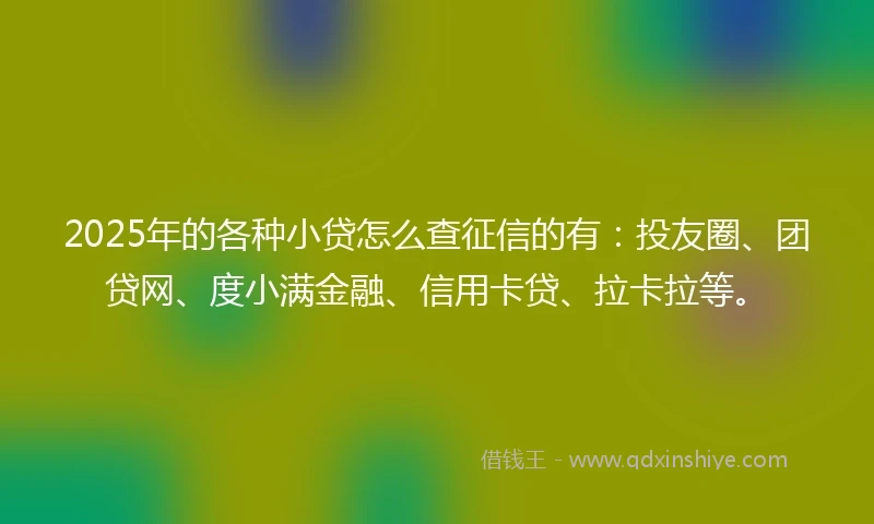 2025年的各种小贷怎么查征信的有：投友圈、团贷网、度小满金融、信用卡贷、拉卡拉等。