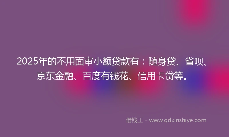 2025年的不用面审小额贷款有：随身贷、省呗、京东金融、百度有钱花、信用卡贷等。