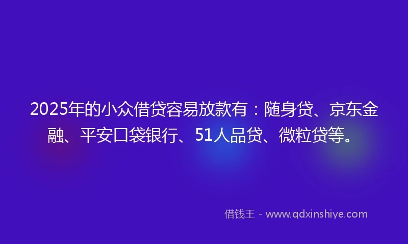 2025年的小众借贷容易放款有：随身贷、京东金融、平安口袋银行、51人品贷、微粒贷等。