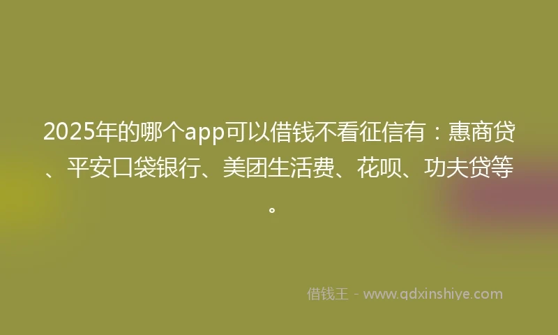 2025年的哪个app可以借钱不看征信有：惠商贷、平安口袋银行、美团生活费、花呗、功夫贷等。