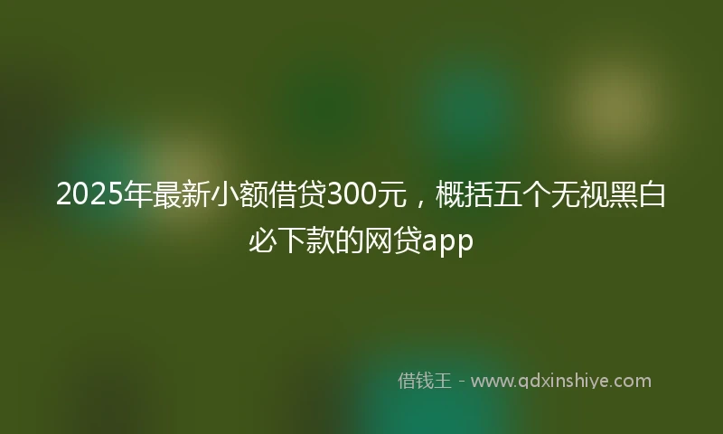 2025年最新小额借贷300元，概括五个无视黑白必下款的网贷app