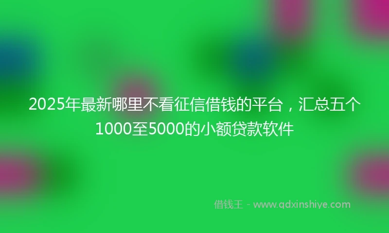 2025年最新哪里不看征信借钱的平台，汇总五个1000至5000的小额贷款软件