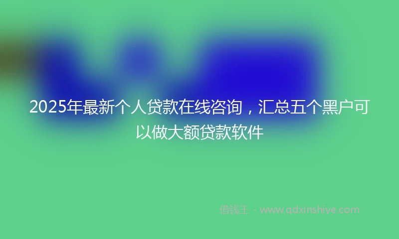 2025年最新个人贷款在线咨询，汇总五个黑户可以做大额贷款软件