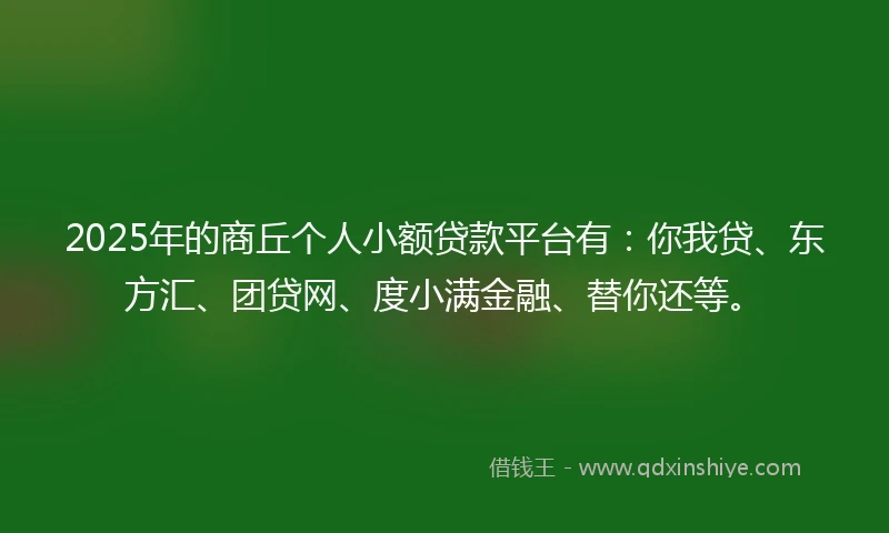 2025年的商丘个人小额贷款平台有：你我贷、东方汇、团贷网、度小满金融、替你还等。