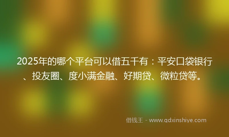 2025年的哪个平台可以借五千有：平安口袋银行、投友圈、度小满金融、好期贷、微粒贷等。