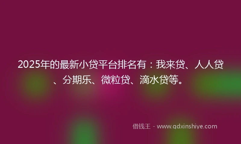 2025年的最新小贷平台排名有：我来贷、人人贷、分期乐、微粒贷、滴水贷等。