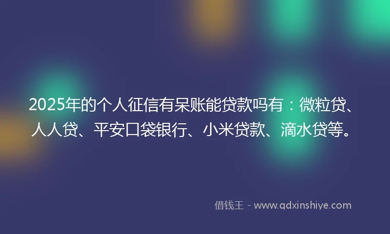 2025年的个人征信有呆账能贷款吗有：微粒贷、人人贷、平安口袋银行、小米贷款、滴水贷等。