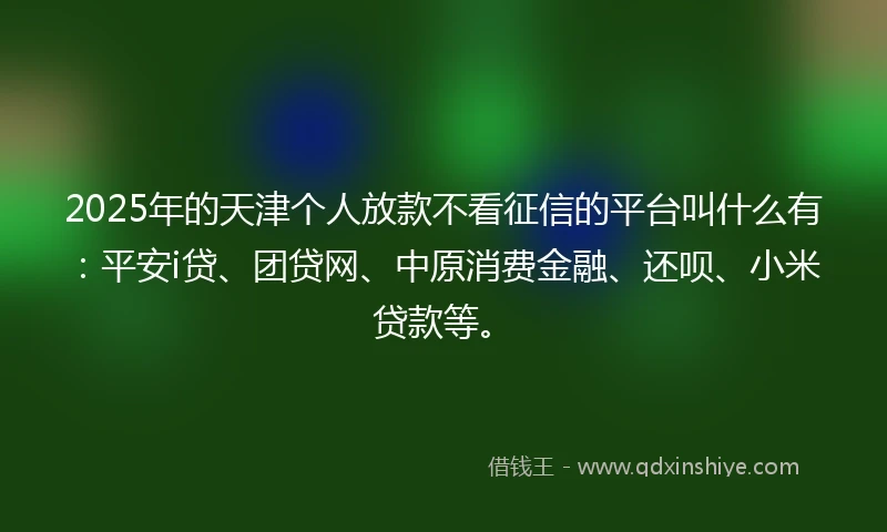 2025年的天津个人放款不看征信的平台叫什么有：平安i贷、团贷网、中原消费金融、还呗、小米贷款等。