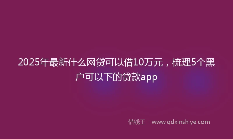 2025年最新什么网贷可以借10万元，梳理5个黑户可以下的贷款app