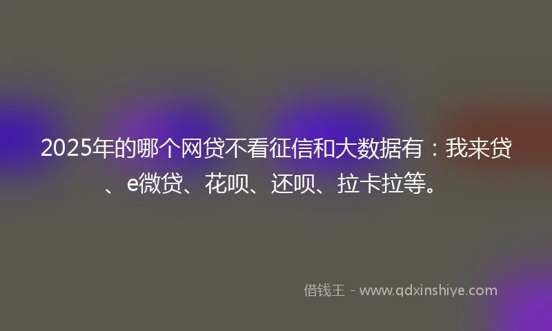2025年的哪个网贷不看征信和大数据有：我来贷、e微贷、花呗、还呗、拉卡拉等。