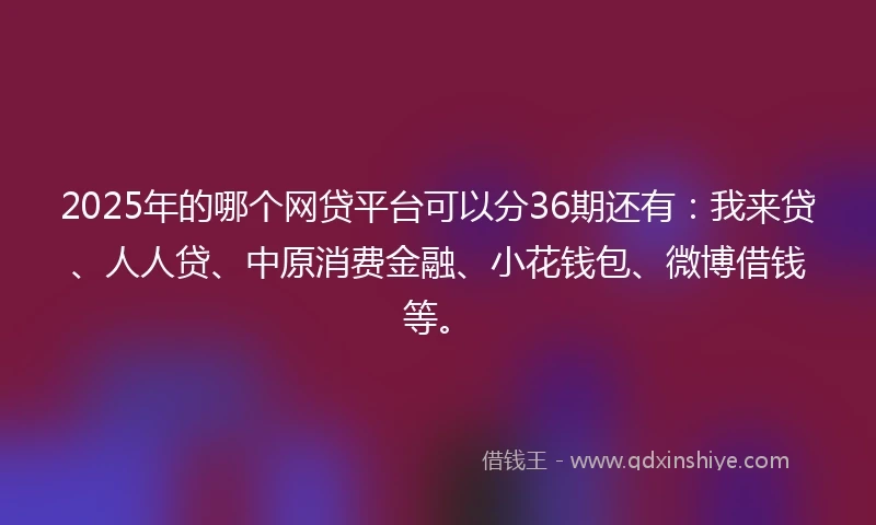 2025年的哪个网贷平台可以分36期还有：我来贷、人人贷、中原消费金融、小花钱包、微博借钱等。