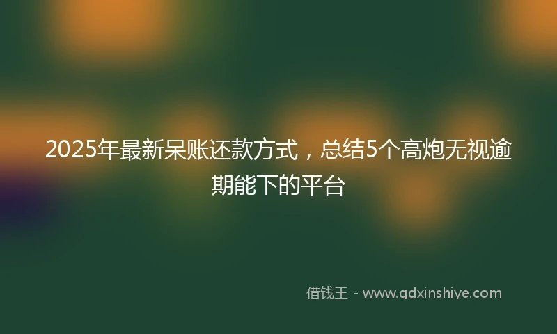 2025年最新呆账还款方式，总结5个高炮无视逾期能下的平台