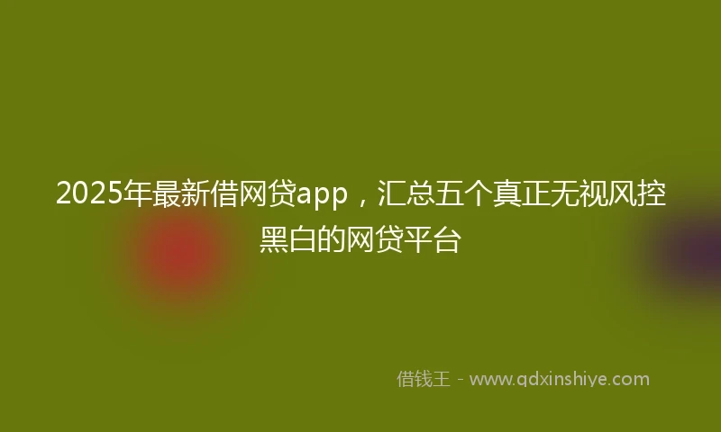 2025年最新借网贷app，汇总五个真正无视风控黑白的网贷平台