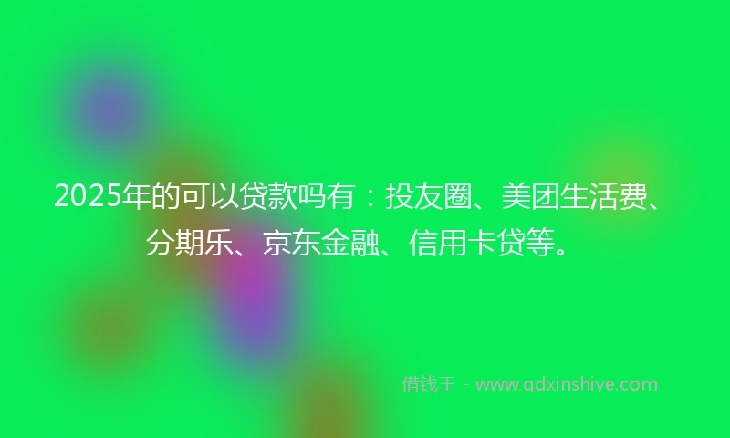 2025年的可以贷款吗有：投友圈、美团生活费、分期乐、京东金融、信用卡贷等。