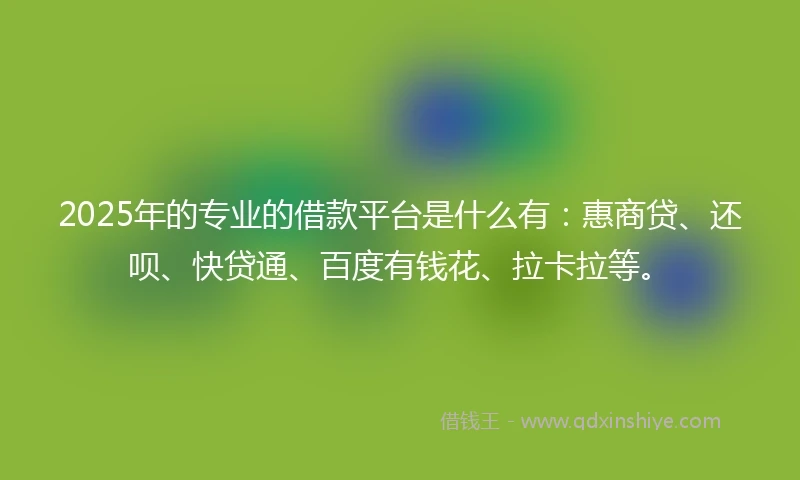 2025年的专业的借款平台是什么有：惠商贷、还呗、快贷通、百度有钱花、拉卡拉等。