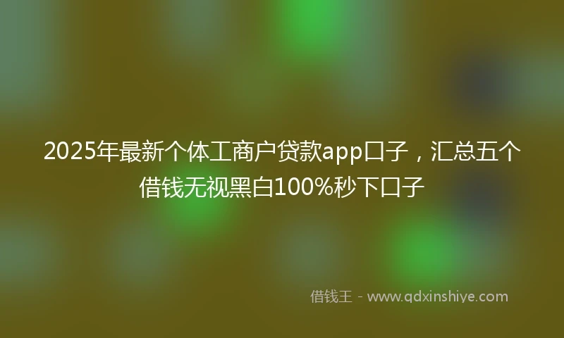 2025年最新个体工商户贷款app口子，汇总五个借钱无视黑白100%秒下口子
