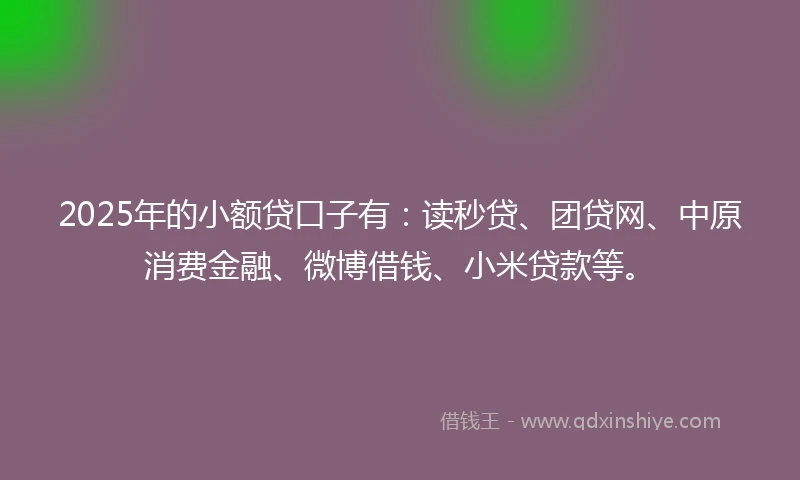 2025年的小额贷口子有：读秒贷、团贷网、中原消费金融、微博借钱、小米贷款等。