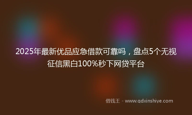 2025年最新优品应急借款可靠吗，盘点5个无视征信黑白100%秒下网贷平台