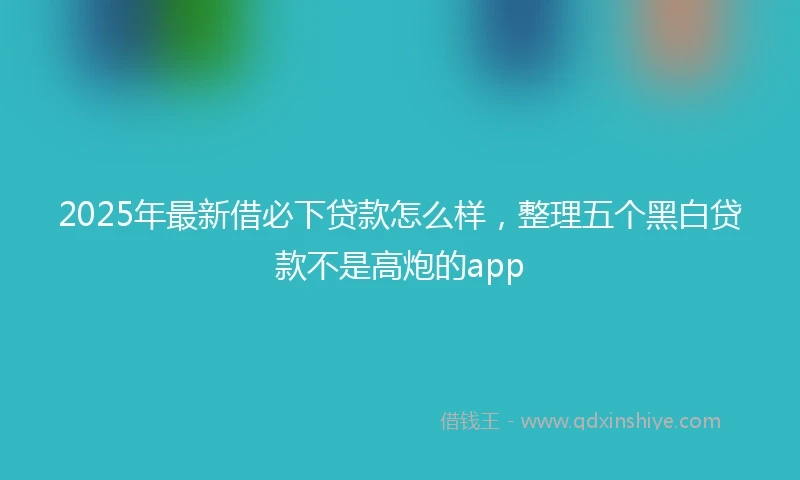 2025年最新借必下贷款怎么样，整理五个黑白贷款不是高炮的app