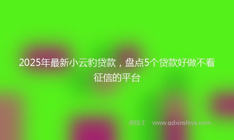 2025年最新小云豹贷款，盘点5个贷款好做不看征信的平台