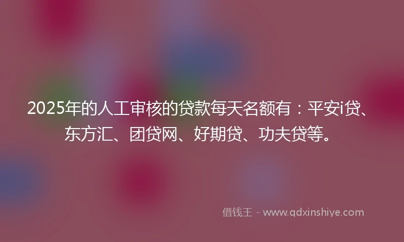 2025年的人工审核的贷款每天名额有：平安i贷、东方汇、团贷网、好期贷、功夫贷等。