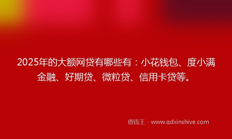 2025年的大额网贷有哪些有：小花钱包、度小满金融、好期贷、微粒贷、信用卡贷等。