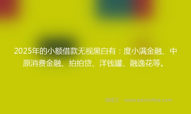 2025年的小额借款无视黑白有：度小满金融、中原消费金融、拍拍贷、洋钱罐、融逸花等。