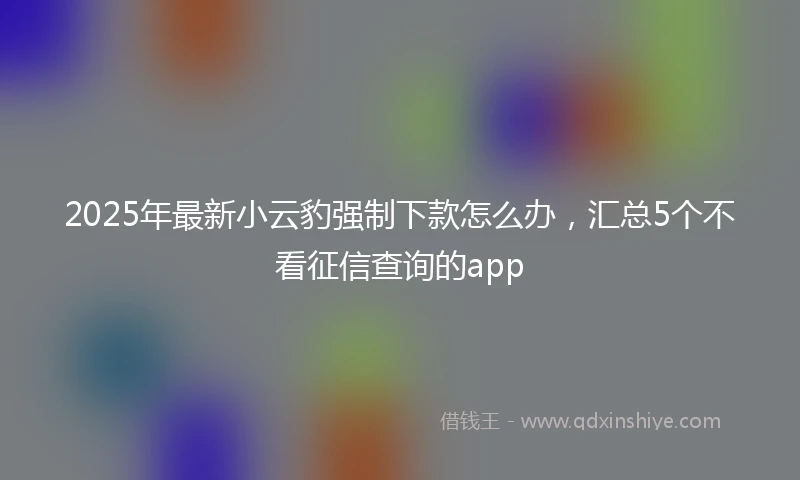 2025年最新小云豹强制下款怎么办，汇总5个不看征信查询的app