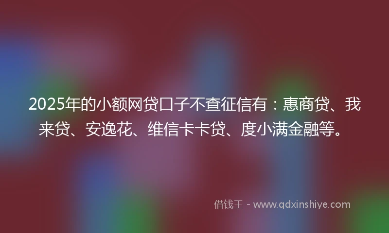 2025年的小额网贷口子不查征信有：惠商贷、我来贷、安逸花、维信卡卡贷、度小满金融等。
