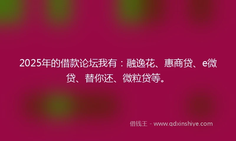 2025年的借款论坛我有：融逸花、惠商贷、e微贷、替你还、微粒贷等。