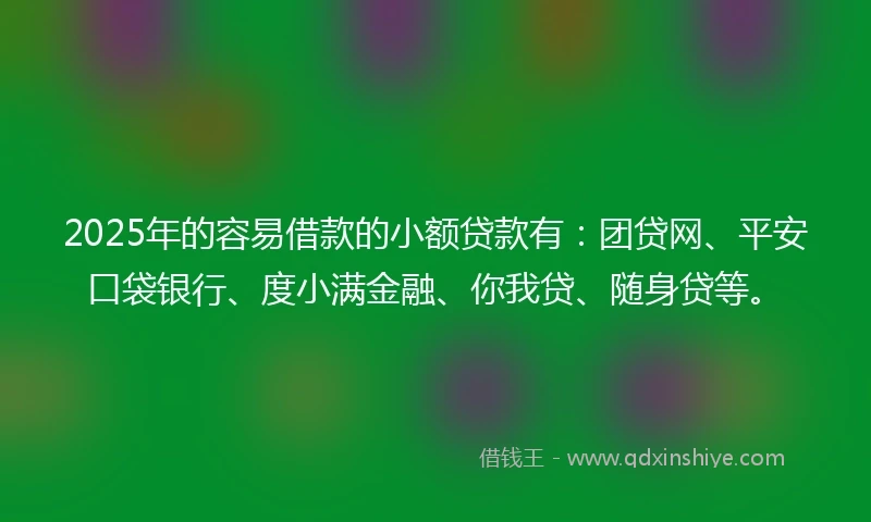 2025年的容易借款的小额贷款有：团贷网、平安口袋银行、度小满金融、你我贷、随身贷等。
