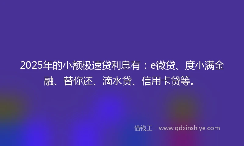 2025年的小额极速贷利息有：e微贷、度小满金融、替你还、滴水贷、信用卡贷等。