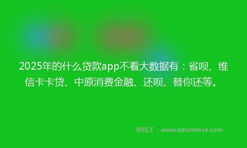 2025年的什么贷款app不看大数据有：省呗、维信卡卡贷、中原消费金融、还呗、替你还等。