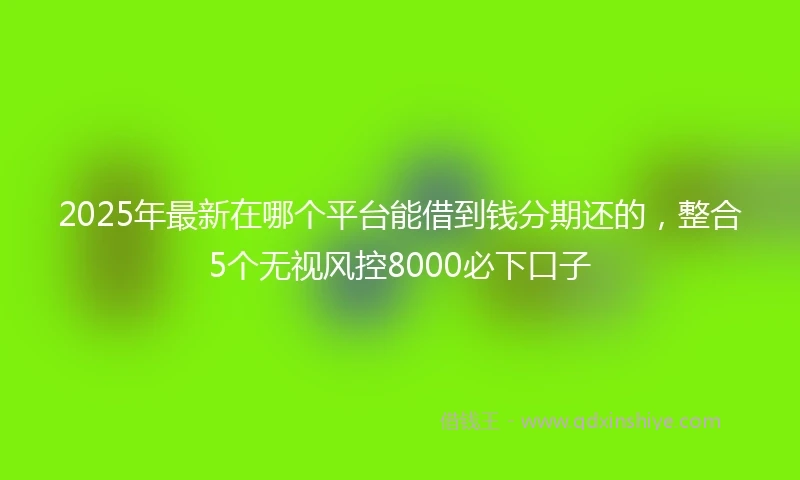 2025年最新在哪个平台能借到钱分期还的，整合5个无视风控8000必下口子